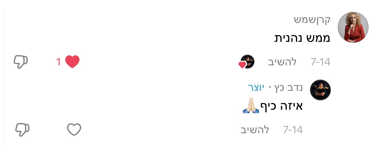 תגובה לתכנים של נדב כץ, תמונה 4