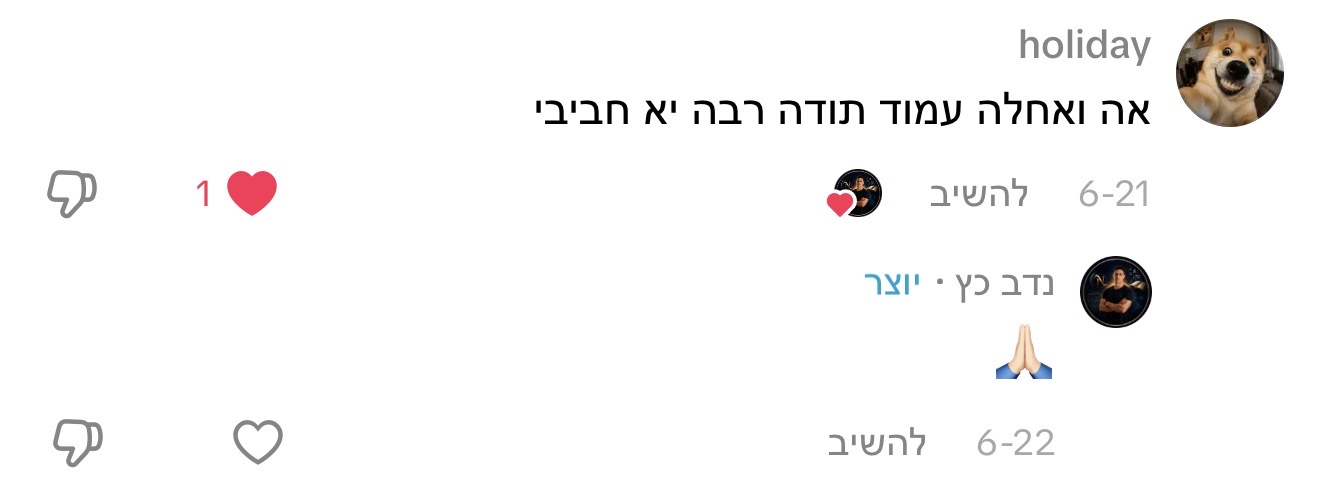 תגובה לתכנים של נדב כץ, תמונה 2
