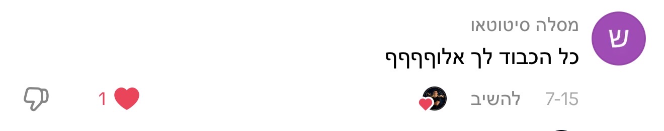 תגובה לתכנים של נדב כץ, תמונה 15
